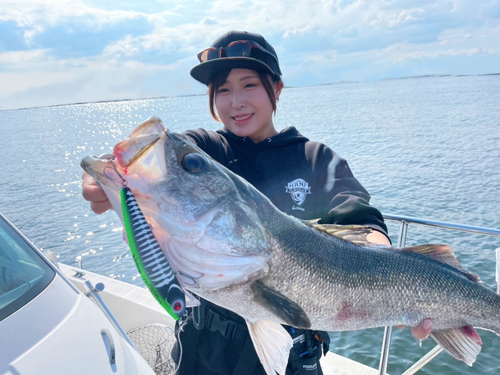 シーバスの釣果