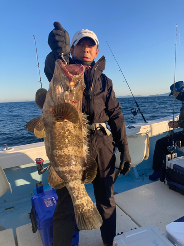 チャイロマルハタの釣果