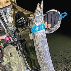 タチウオの釣果