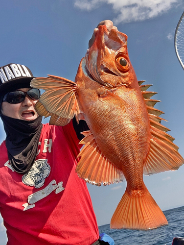 チカメキントキの釣果