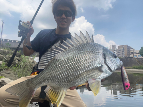 キチヌの釣果