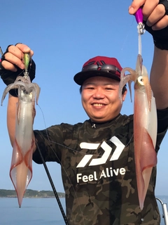 アラの釣果