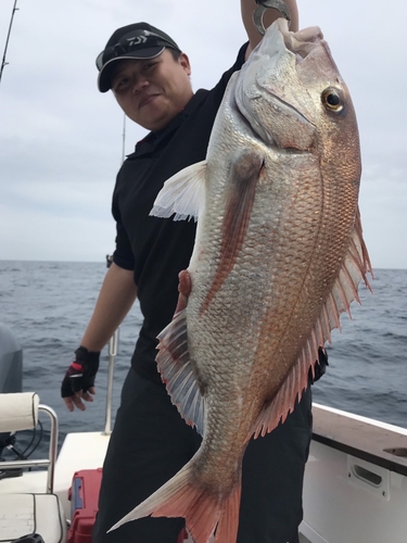 タイの釣果