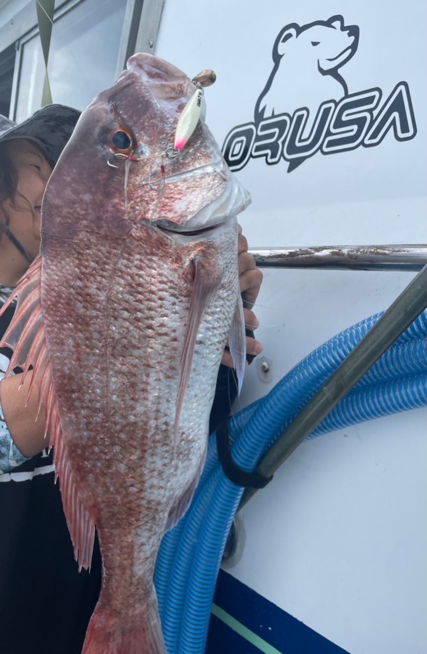 ポケ船長さんの釣果 2枚目の画像