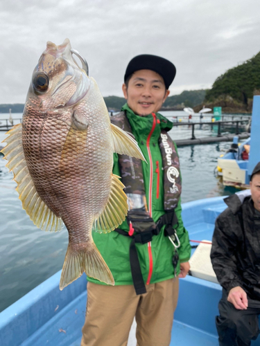 メイチダイの釣果