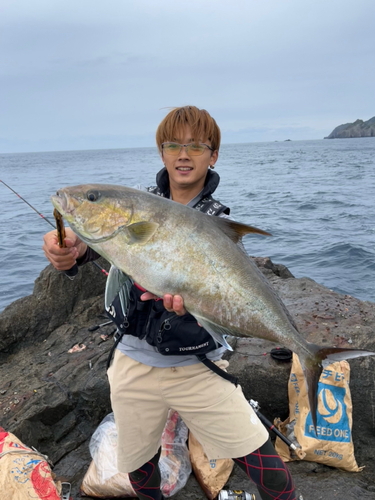 ヒレナガカンパチの釣果