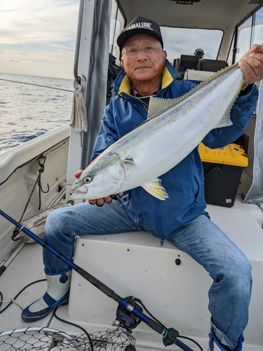 ワラサの釣果