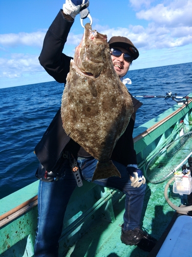 ヒラメの釣果