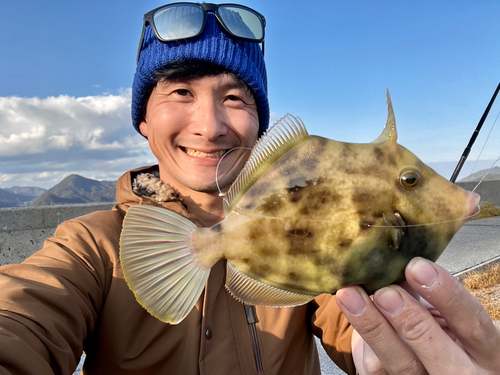 カワハギの釣果