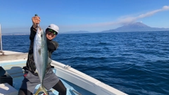 ブリの釣果