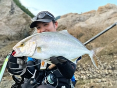 カンパチの釣果