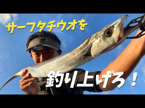 タチウオの釣果