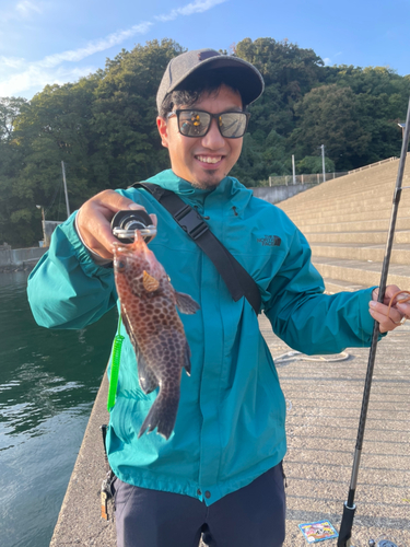 オオモンハタの釣果