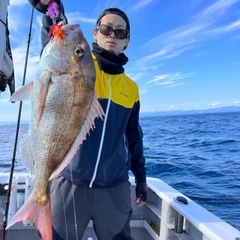 マダイの釣果