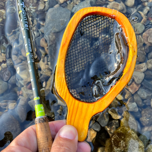 カワムツの釣果