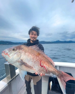 マダイの釣果