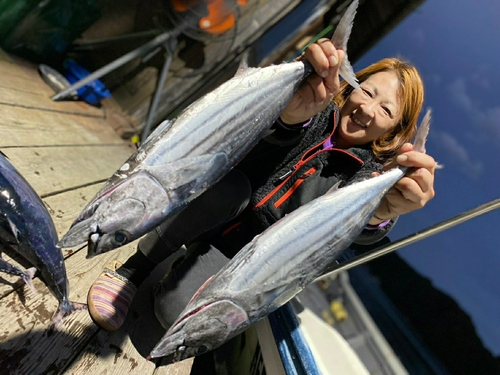 カツオの釣果