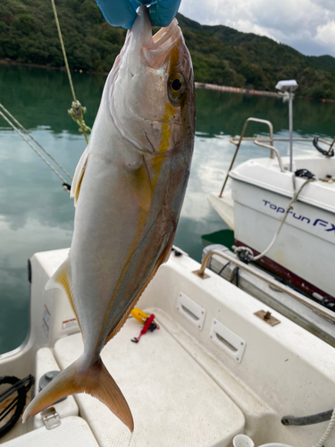 ネリゴの釣果