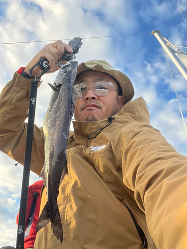 クロシビカマスの釣果