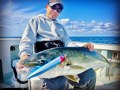 ヒラマサの釣果