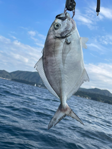 釣果