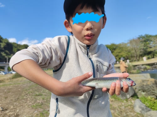 ニジマスの釣果