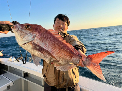 マダイの釣果