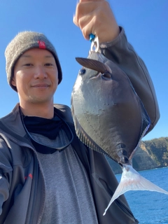 サンノジの釣果