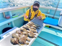 カワハギの釣果