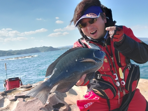 クチブトグレの釣果