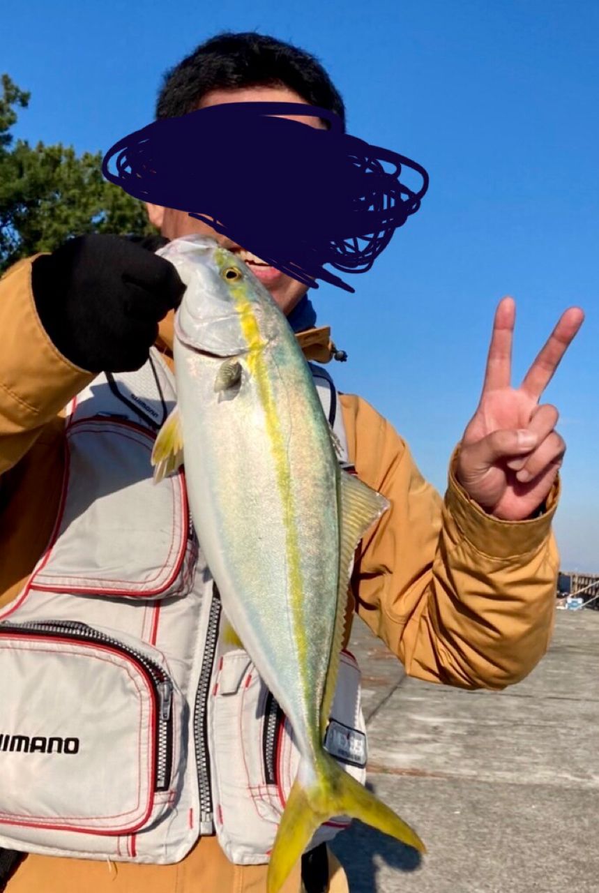ハマチ