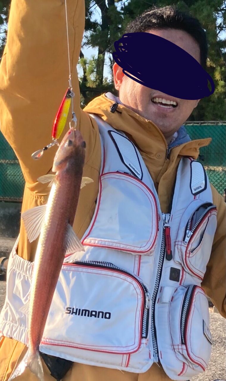 ハマチ