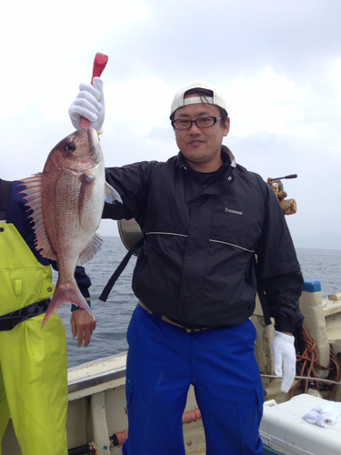 マダイの釣果