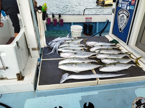 メジロの釣果