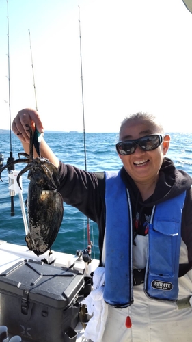 モンゴウイカの釣果