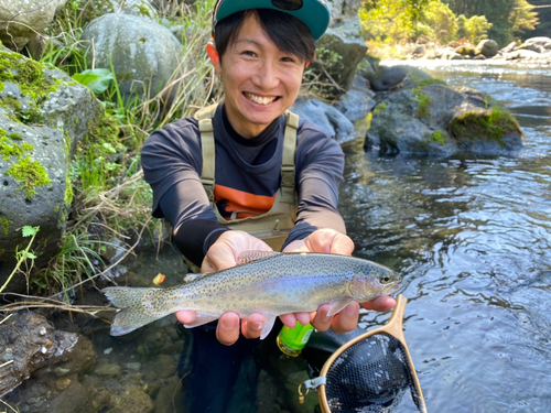 ニジマスの釣果