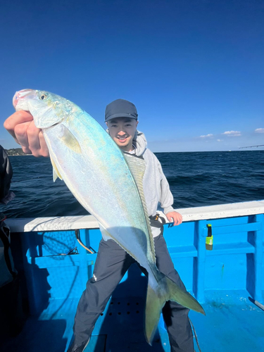 イナダの釣果