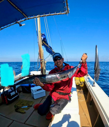 カマスサワラの釣果