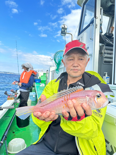 アマダイの釣果