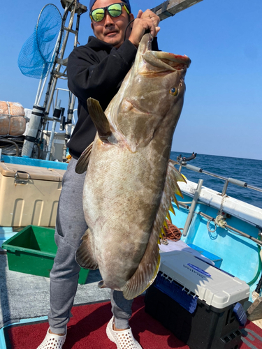 アラの釣果