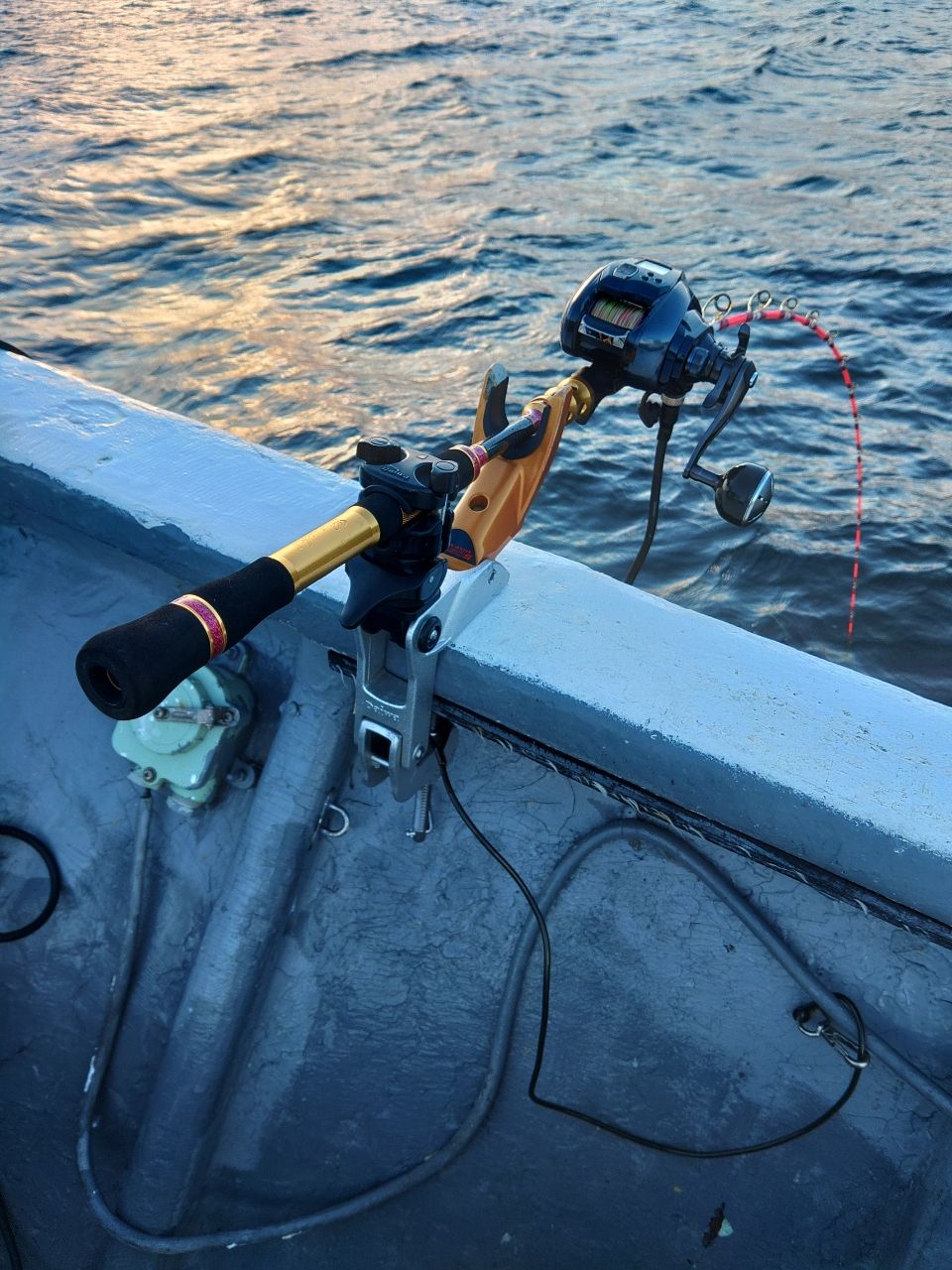 madai60さんの釣果 2枚目の画像