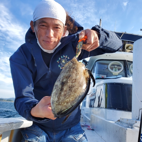 モンゴウイカの釣果