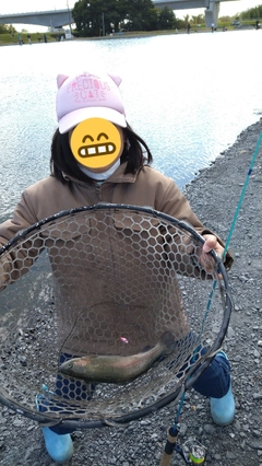 ニジマスの釣果