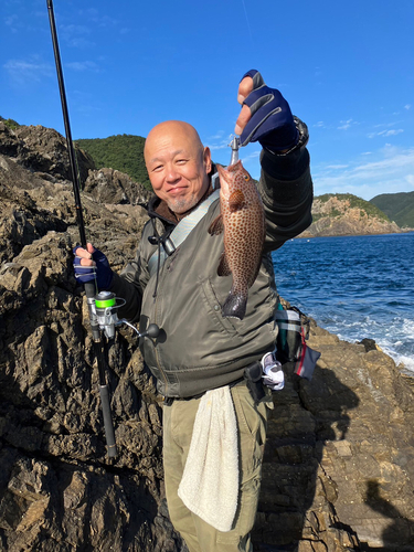 オオモンハタの釣果