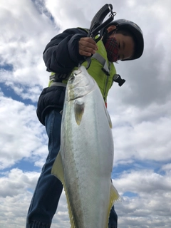 メジロの釣果