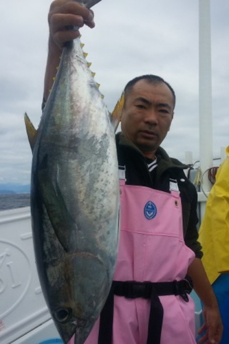 キハダマグロの釣果