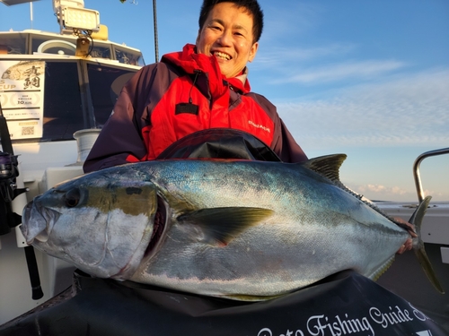 ヒラマサの釣果