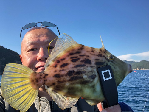 カワハギの釣果