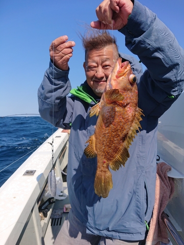 チカメキントキの釣果