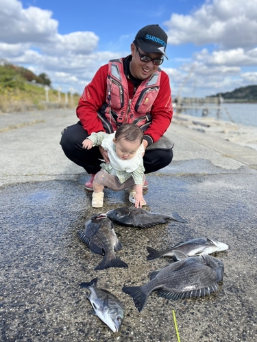 チヌの釣果